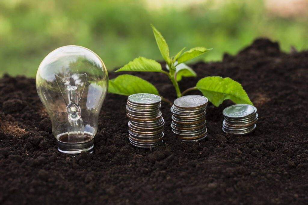 Green Lending: Financing a Sustainable Future